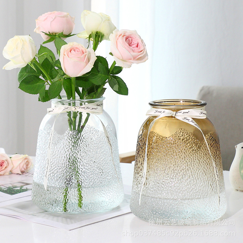 Garden glass vase, transparent water-grown living room decoration, fresh flower vase, simple lucky bamboo dried vase, fresh and small Specification drawing