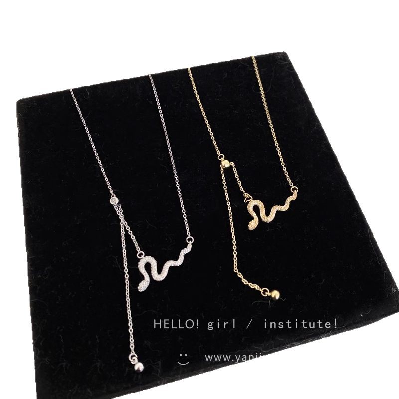 Limited Edition Spring and Summer fringe necklace for the Year of the Snake, a light luxury and niche collarbone chain for women, with a choker vibe Item Picture