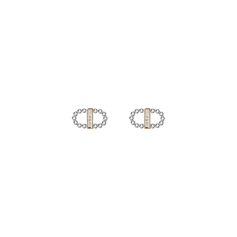 925 Silver Needle Earrings, 2025 new style, trendy and niche design, exquisite stud earrings, women's high-end feel, light luxury Item Picture