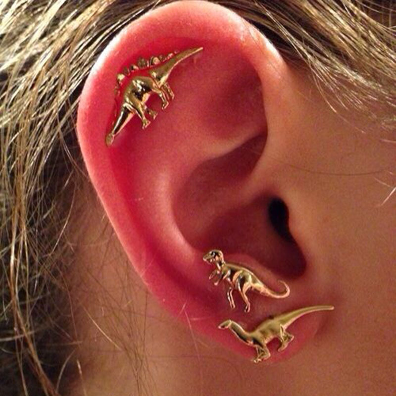 Spring new style small animal dinosaur set, personalized earrings, Japanese and Korean couple earrings, stud earrings, Yiwu small commodities wholesale full figure