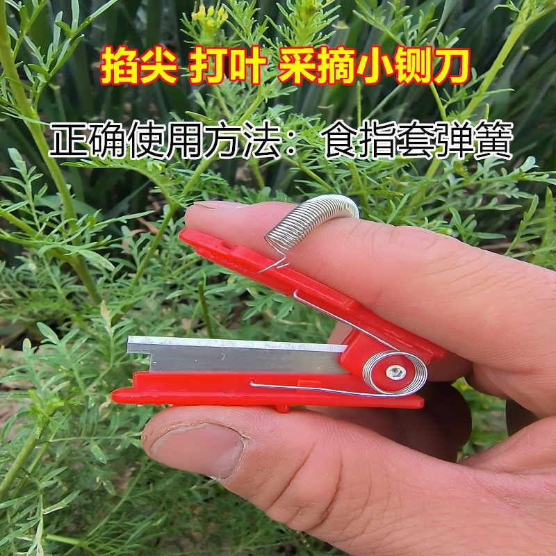 Finger picking, small farm scissors, sharp cucumber tips, thumb knife, small vegetable picking knife, finger small guillotine knife, ring knife details Picture