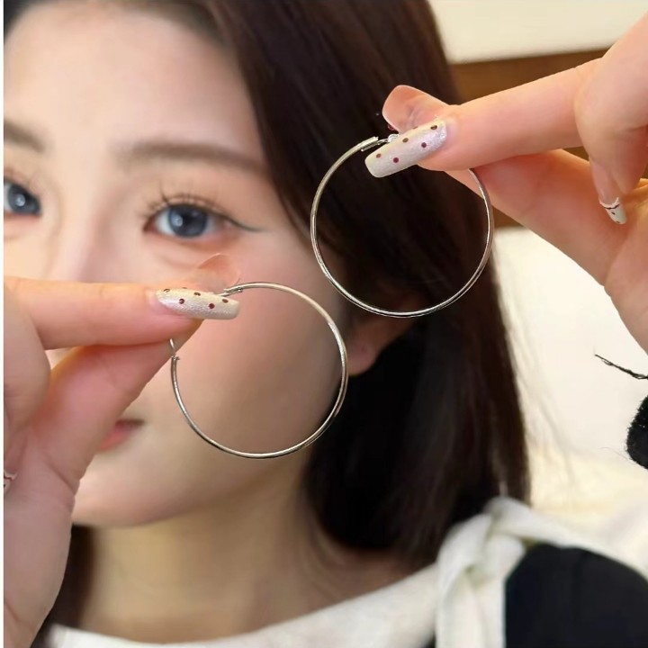 2025 New bestsellers: Hoop earrings for women, a light luxury and high-end look, plain hoop autumn and winter earrings, exaggerated large ear rings and stud earrings full figure