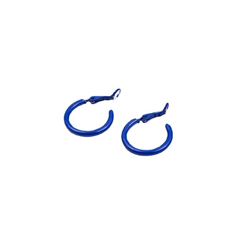 Blue simple and fresh silver needle stud earrings 2025 new female Internet celebrity slimming face earrings, elegant and stylish stud earrings for women Item Picture