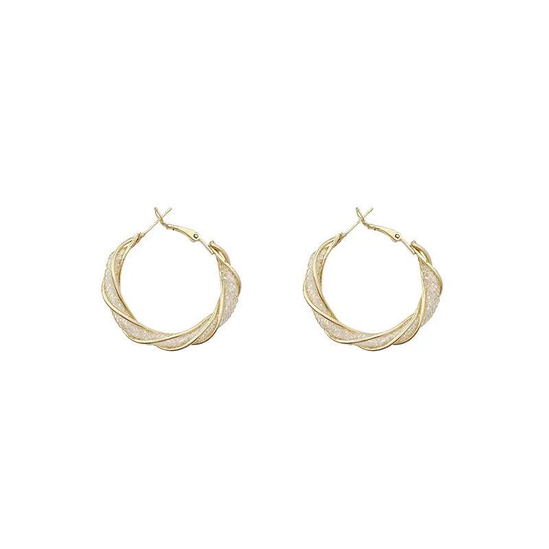 High-end, light luxury circle earrings, metal super shiny ear rings, niche design sense, European and American ins cold style earrings for women Item Picture