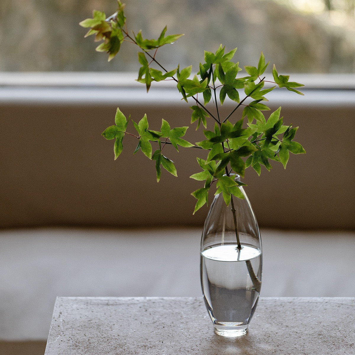 High borosilicate glass water drop cold brewing bottle, multi-functional transparent wine set, green tea heat and cold resistant tea set, high appearance level vase Application Scenario