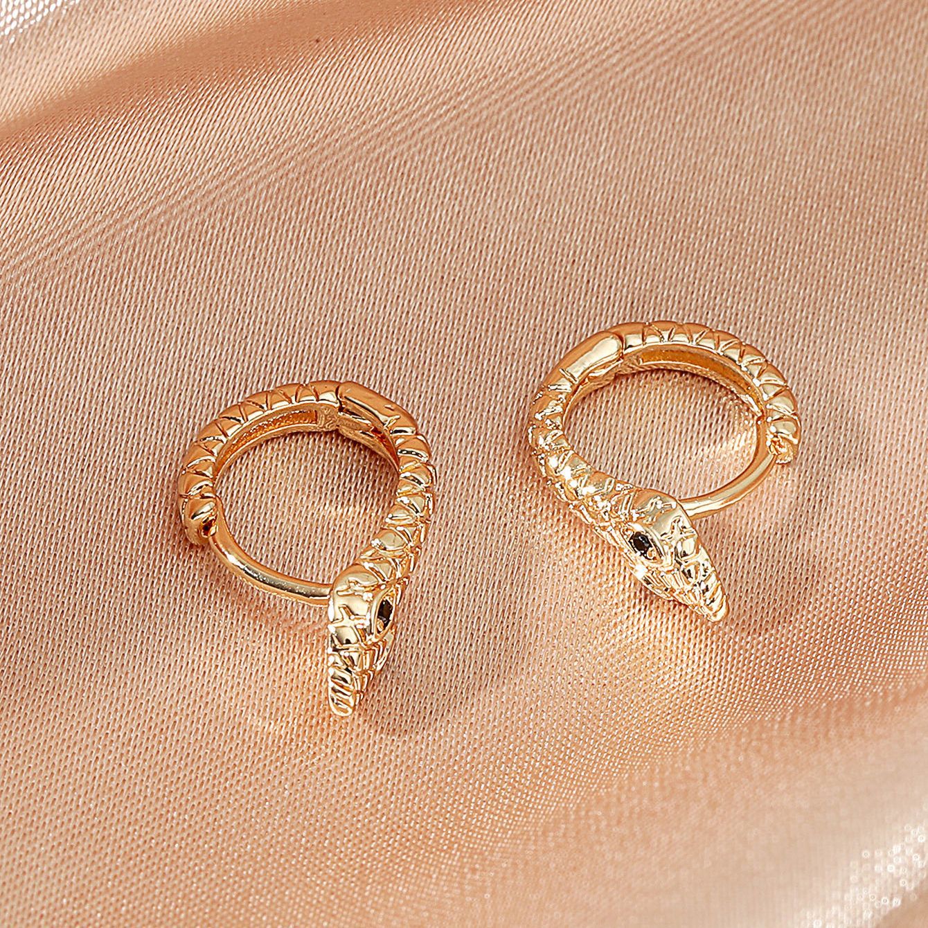 European and American ins retro creative snake-shaped stud earrings, fashionable and individual punk metal earrings and ear buckles for women wholesale Application Scenario