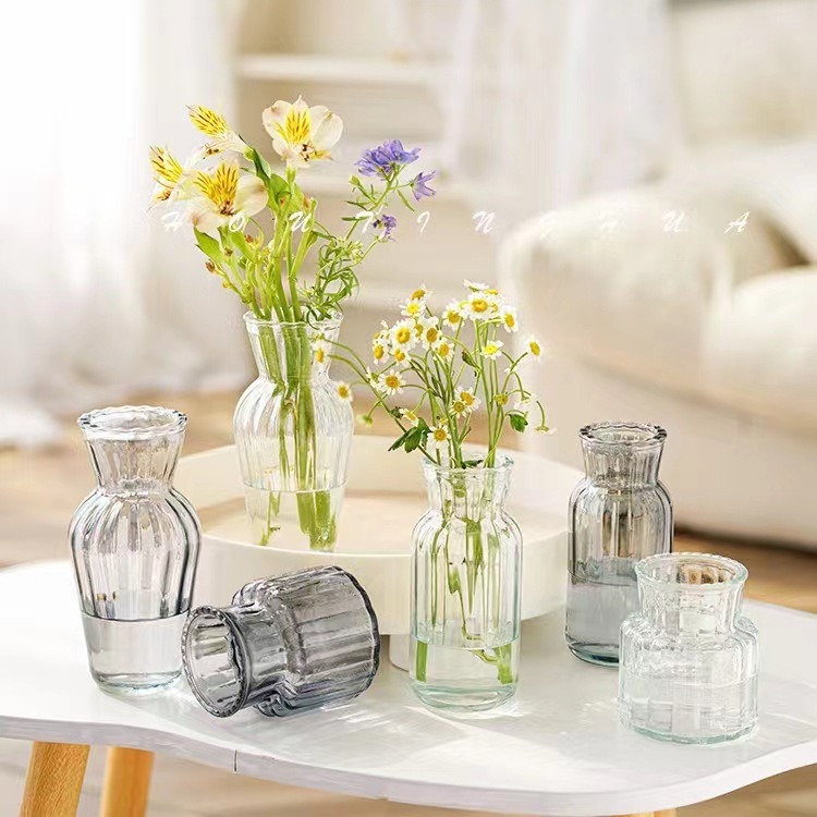 European-style creative glass vase, transparent internet-famous hydroponic and hydroponic green plant and fresh flower small vase, desktop decoration full figure