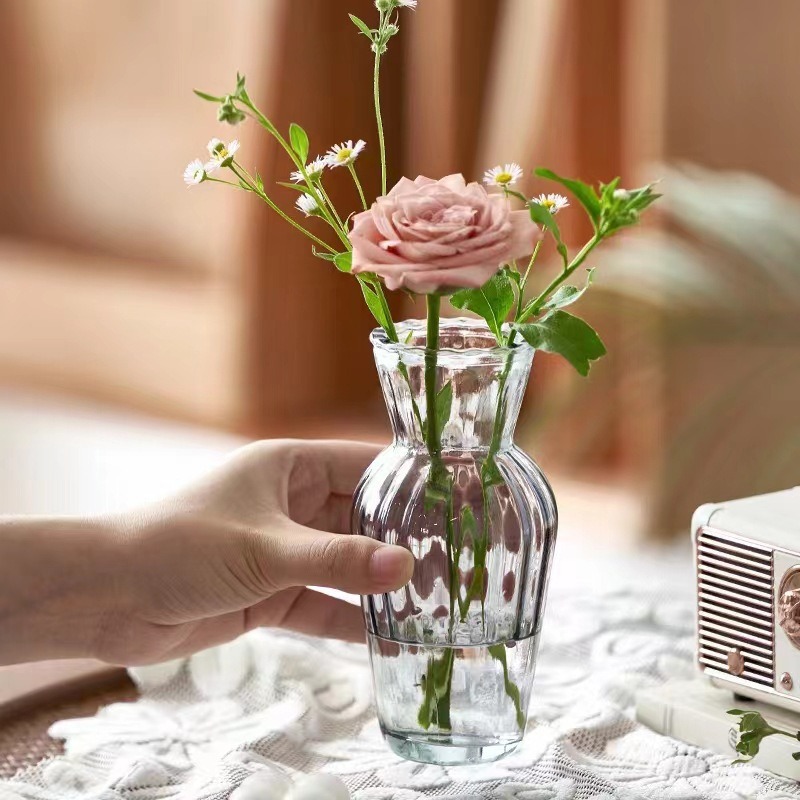 European-style creative glass vase, transparent internet-famous hydroponic and hydroponic green plant and fresh flower small vase, desktop decoration Application Scenario