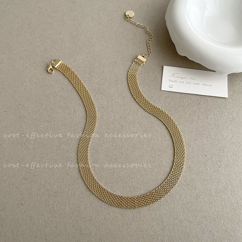 European and American choker necklaces, neck chains, collarbone chains, exaggerated metal necklace accessories for women, 2023 new style Application Scenario