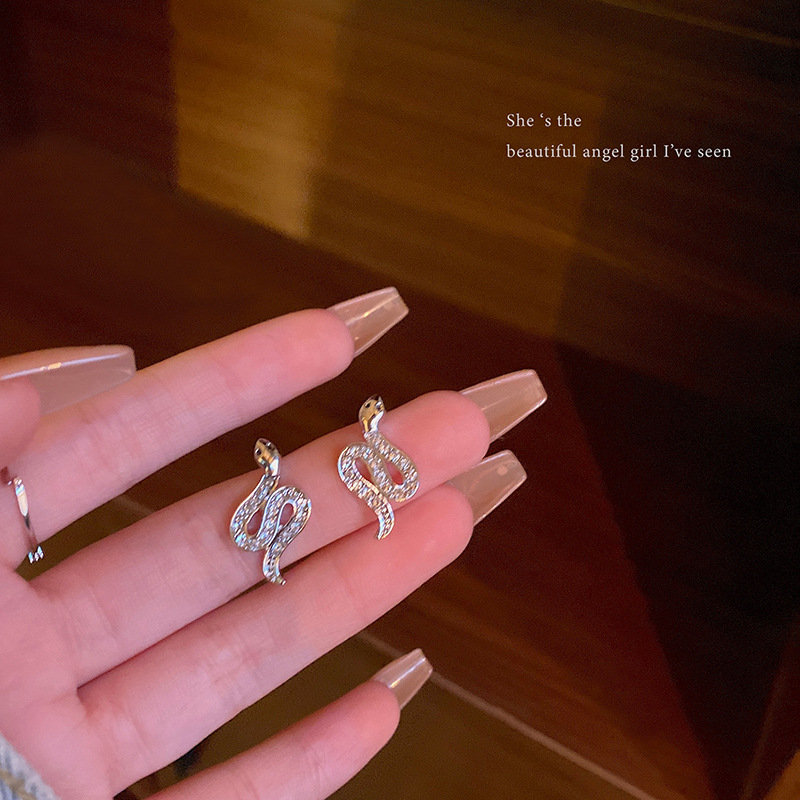 925 Silver needle snake-shaped stud earrings for women in an ins style, light luxury, unique, niche and high-end feel, versatile zircon earrings and earrings wholesale full figure