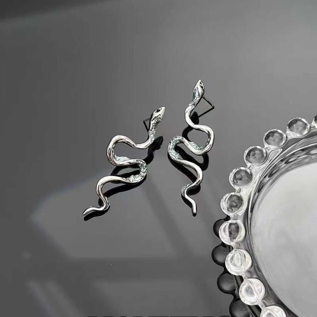 Snake-shaped earrings and stud earrings for women in 2025, with a cold and unique style, are versatile and suitable for the Snake Year zodiac design. This is a niche sweet and cool earpiece Application Scenario