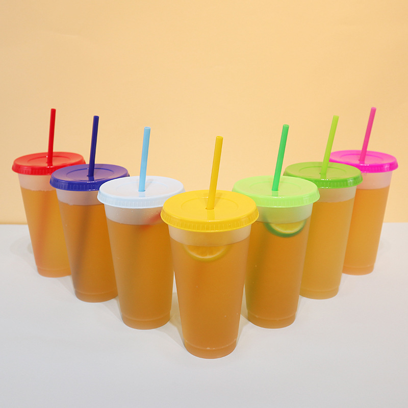 【 Processing and Customization 】 Wholesale of straw water cups, cross-border PP plastic cups, portable heat-insulating outdoor cold drink milk tea cups details Picture