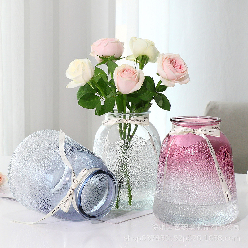 Garden glass vase, transparent water-grown living room decoration, fresh flower vase, simple lucky bamboo dried vase, fresh and small details Picture