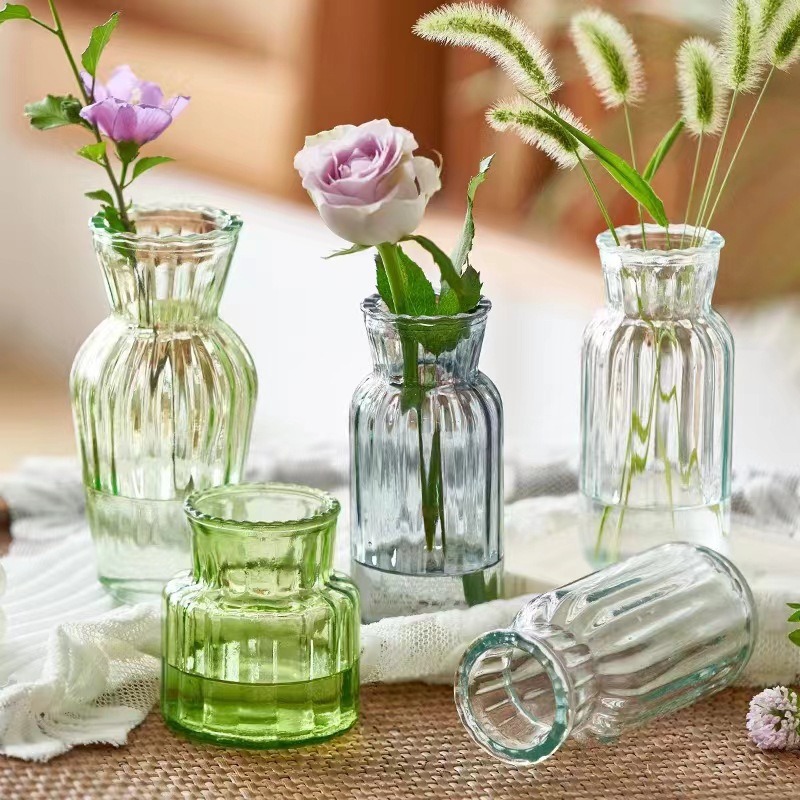 European-style creative glass vase, transparent internet-famous hydroponic and hydroponic green plant and fresh flower small vase, desktop decoration Specification drawing