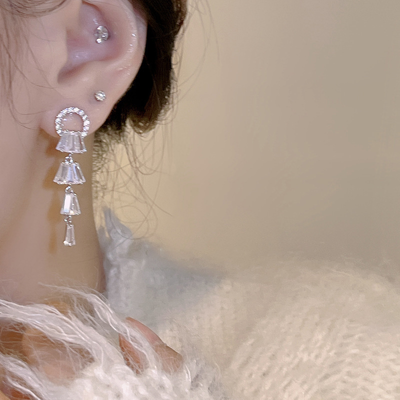 Silver needle high-end earrings, French super sparkling tassel crystal earrings, trendy Korean style, socialite stud earrings, women's earrings Specification drawing