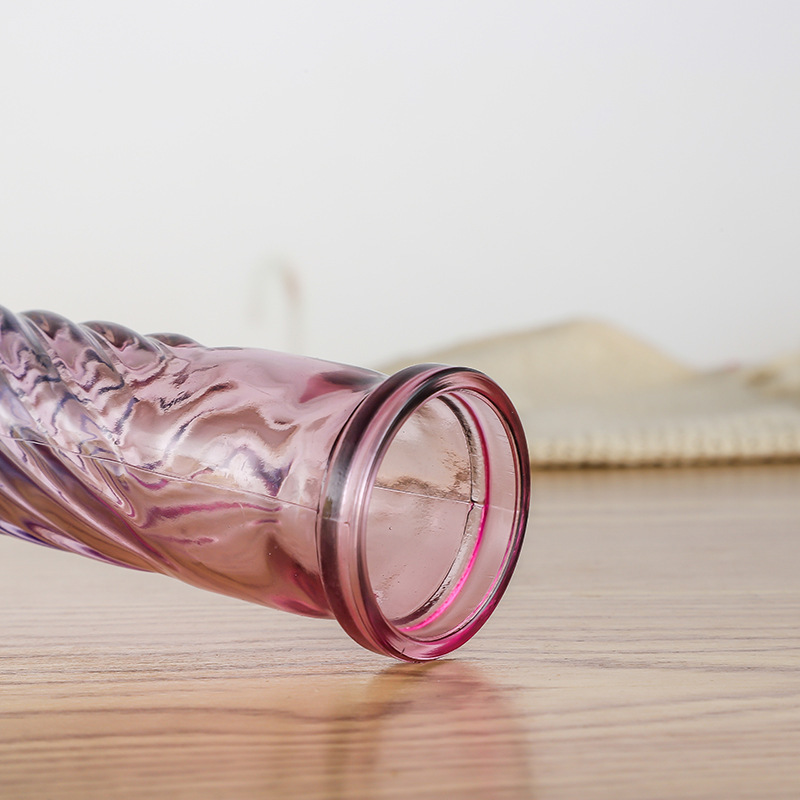 New frosted colored glass vase for living room home decoration, hydroponic dry vase, creative European-style decorative item, flower arrangement Application Scenario