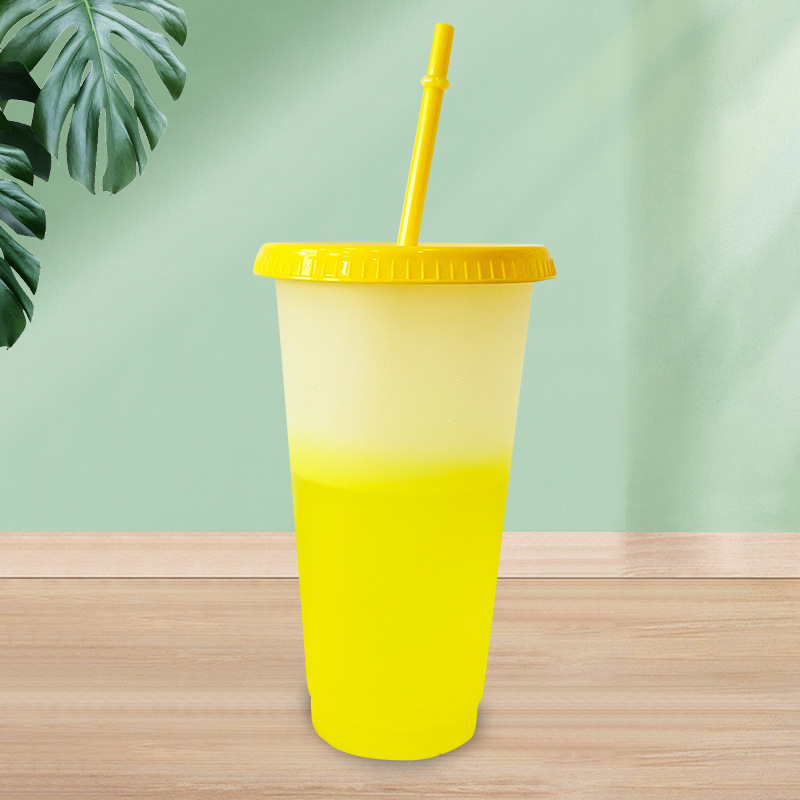 Personalized, fashionable, portable plastic color-changing cups, the same style as Internet celebrities, plastic cups with straws, wholesale from the manufacturer Application Scenario