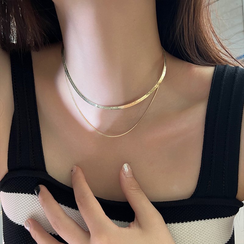 A double-layered necklace with a Japanese and Korean style, a unique and simple neckchain, a popular Instagram style, a niche snake bone chain, and a collarbone chain Application Scenario