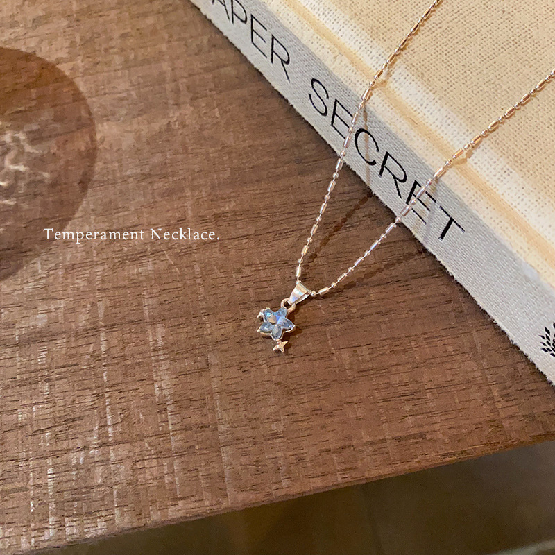 Blue star pendant necklace for women, 2025 new style, high-end and versatile, exquisite collarbone chain, elegant necklace accessory Application Scenario
