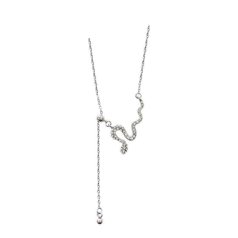 Little Snake Tassel Necklace for women, 2025 new style, zodiac year sweater chain, light luxury and high-end feel, adjustable collarbone chain Item Picture
