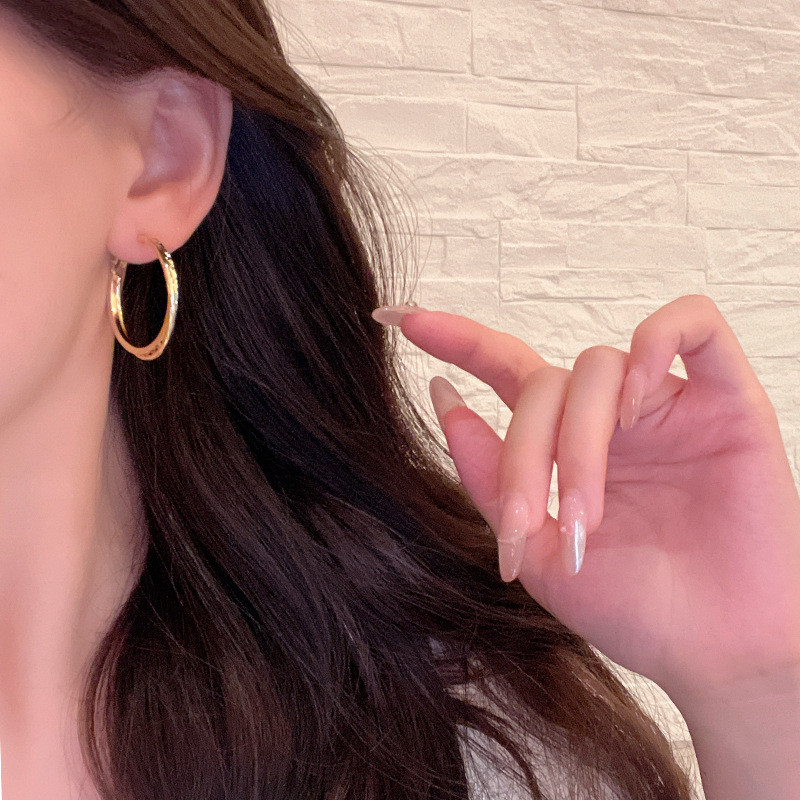 High-end and elegant circular ear ring earrings for women, an exaggerated, simple and cold style of European and American earrings, a niche new style in 2025 Application Scenario