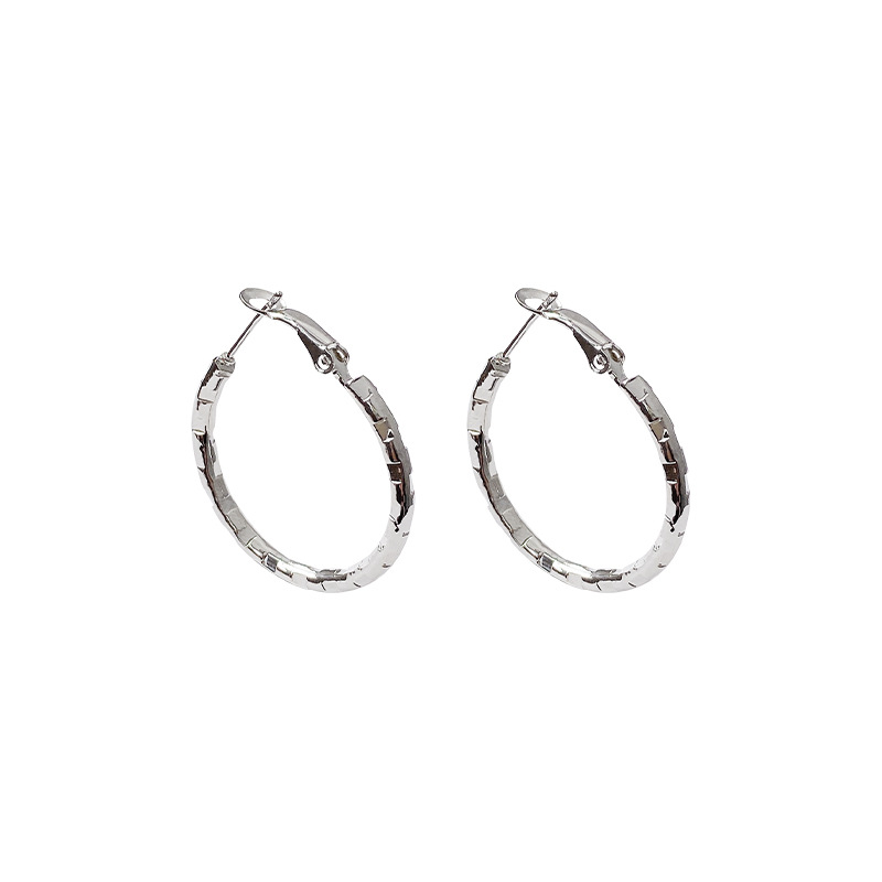 Simple and delicate silver circle earrings for women, a new bestseller in 2025, with a high-end feel. The ear loops and ear rings are niche design earrings Item Picture