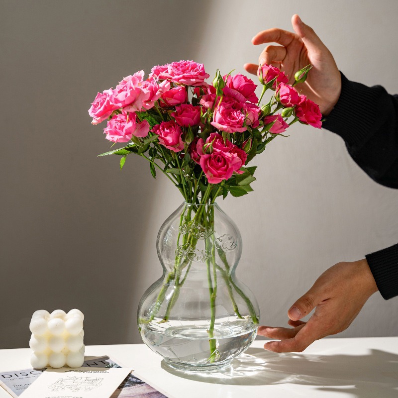 Wholesale creative retro opposite-shaped gourd glass vases, water lily cultivation lucky bamboo, hydroponic dry flower arrangement table ornaments details Picture