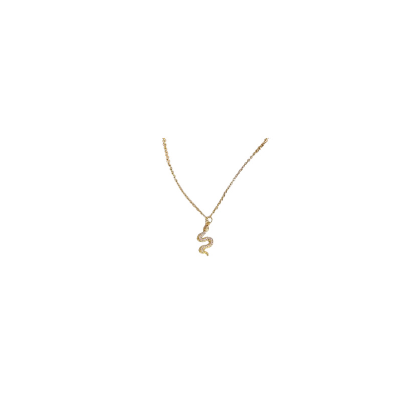 Lucky Snake Necklace for Women, a new 2024 bestseller with a light luxury and niche design sense, is a high-end collarbone chain accessory Item Picture