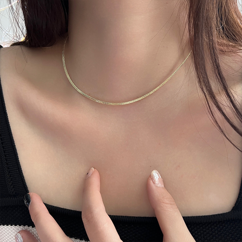 A double-layered necklace with a Japanese and Korean style, a unique and simple neckchain, a popular Instagram style, a niche snake bone chain, and a collarbone chain Specification drawing