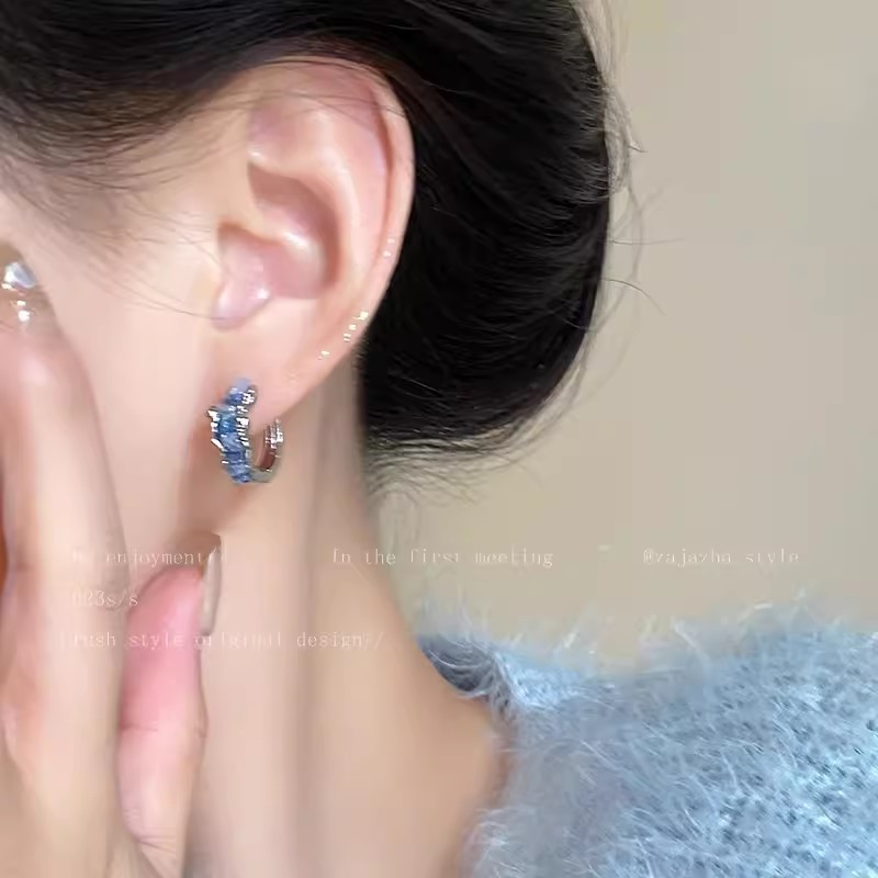 Blue earring women's Summer 2025 New bestseller Sweet and cool fashion earrings, niche design sense Korean high-end earrings Application Scenario