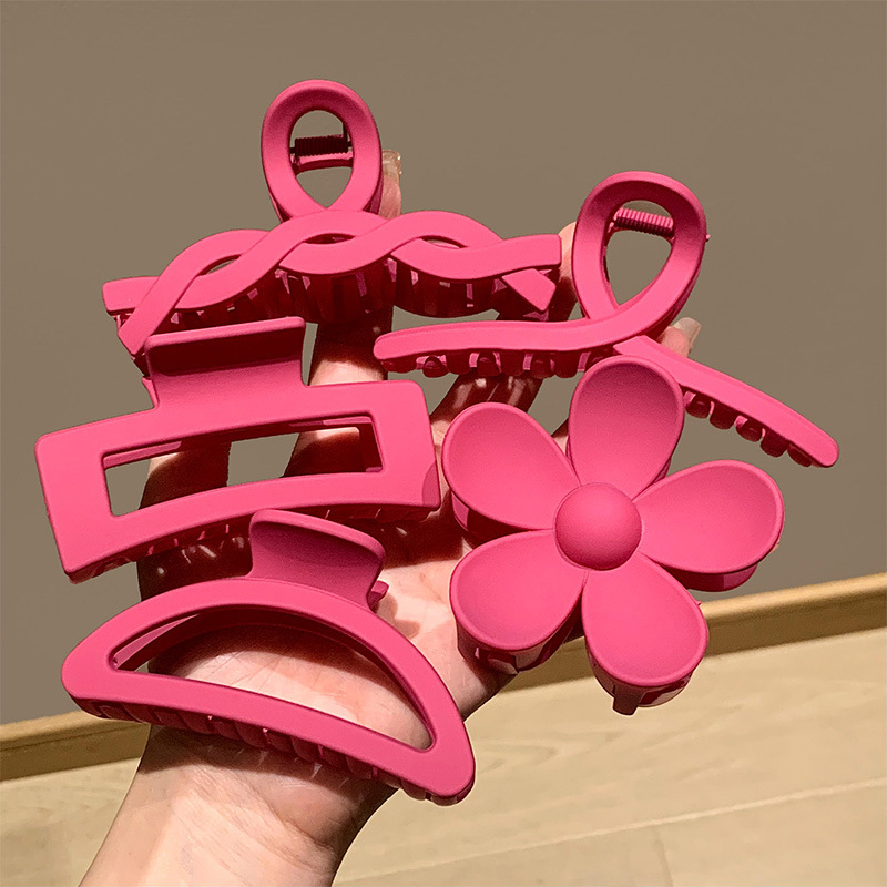 High-end shark clip, dragon fruit color gripper set, large Klein LAN hair clip 8-piece set, back head gripper Application Scenario