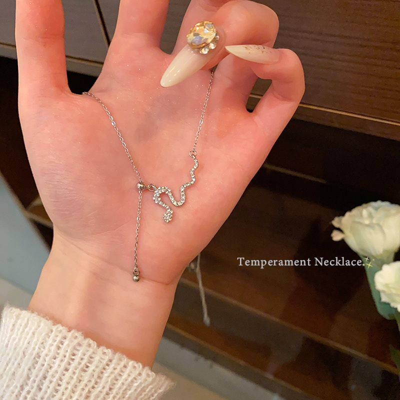 Little Snake Tassel Necklace for women, 2025 new style, zodiac year sweater chain, light luxury and high-end feel, adjustable collarbone chain full figure