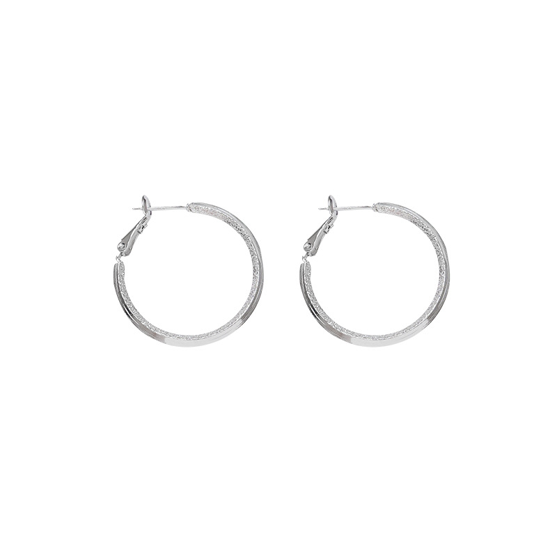 Versatile and simple ear rings, women's plain ring earrings, high-end and elegant, cold style earrings, new 2025 best-selling ear buckles Item Picture