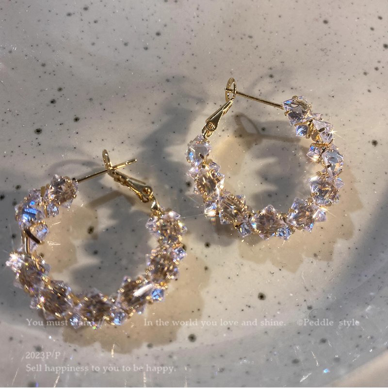 Sparkling Zircon exquisite ring earrings, niche design stud earrings, light luxury and high-end feel, exaggerated fashion and temperament, women's earrings Application Scenario