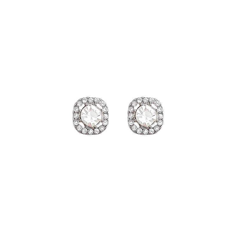 S925 Silver Needle Exquisite Super Sparkling Zircon earrings, women's light luxury, versatile, elegant and high-end stud earrings, Internet celebrity bestseller earrings Item Picture