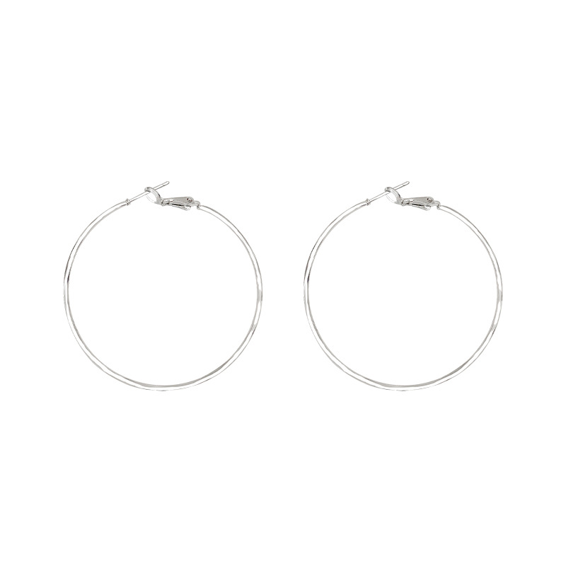 925 Silver Needle Large Ring Earrings, a bestseller and Internet celebrity, a new 2025 model for large faces, suitable for women with ear studs, and a high-end look Item Picture