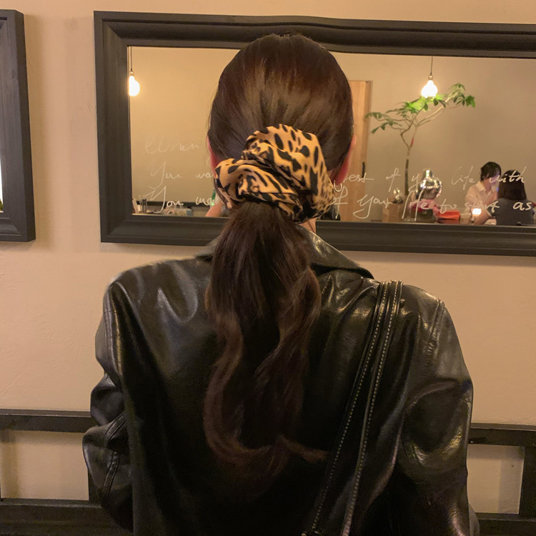 Dongdaemun Spring/Summer retro hair bands, headbands, leopard print updo, high-end hair bands, large intestine hair bands, women's hair accessories full figure