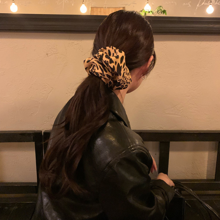 Dongdaemun Spring/Summer retro hair bands, headbands, leopard print updo, high-end hair bands, large intestine hair bands, women's hair accessories Application Scenario