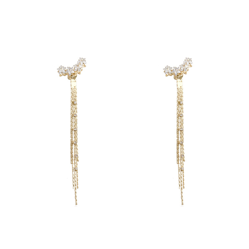 Light luxury and high-end five-pointed star tassel earrings for women, new 2024 style, grand and elegant ladylike stud earrings, a popular and stylish ear accessory Item Picture