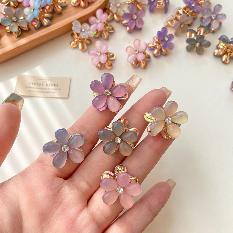 Summer mini flower metal small grab clip, new petal women's hair clip, bangs clip, broken hair side clip, women's hair accessory Application Scenario