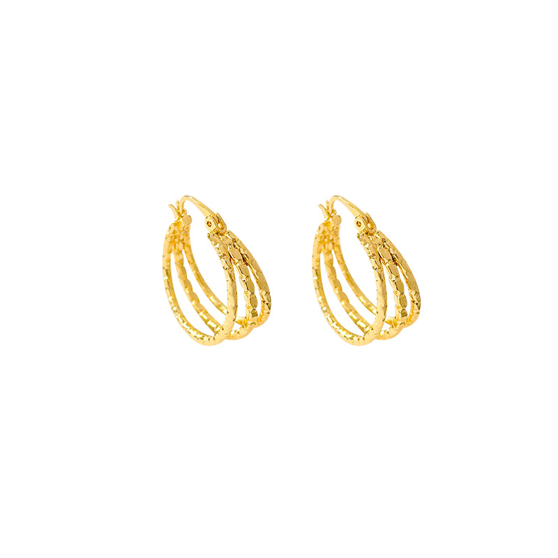 European and American style high-end metal earrings for women in 2025, a trendy and cold style stud, a fashionable and stylish earpiece that has become a popular online celebrity Item Picture