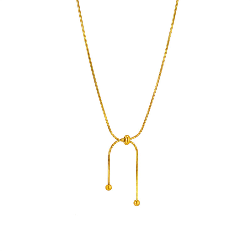 A niche design with a pull-out line necklace, a minimalist Instagram-style accessory for women, and a simple collarbone chain necklace Application Scenario
