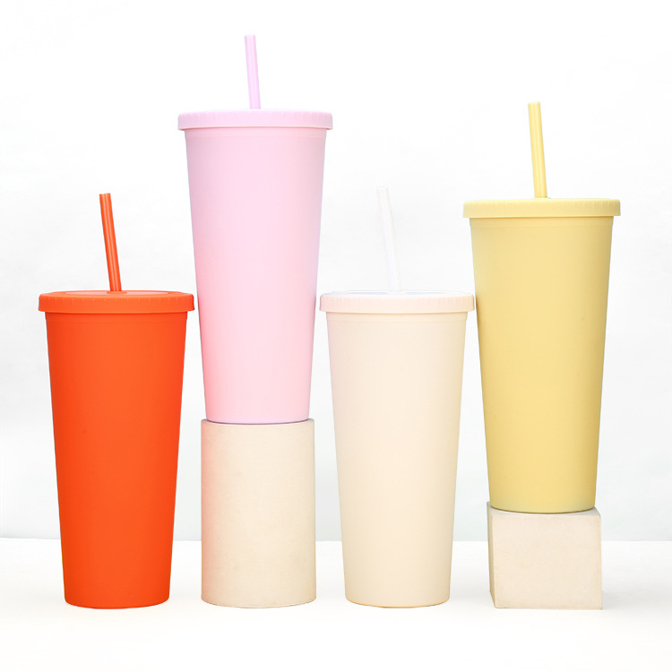 A new modern and simple water cup from cross-border Amazon, a popular matte cartoon portable 24oz double-layer straw cup details Picture