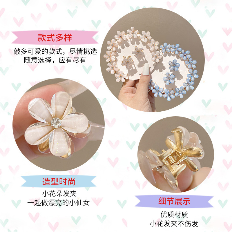 2023 New alloy flower hair clip, delicate girl mini clip, side hair clip, hair accessory Application Scenario