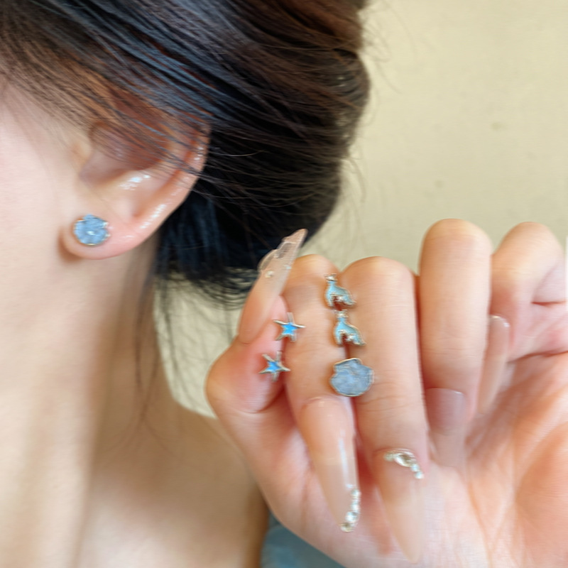 S925 Silver Needle Blue Star Fish tail Stud Earrings for Women, small, exquisite and high-end style stud earrings, versatile and best-selling earrings wholesale full figure