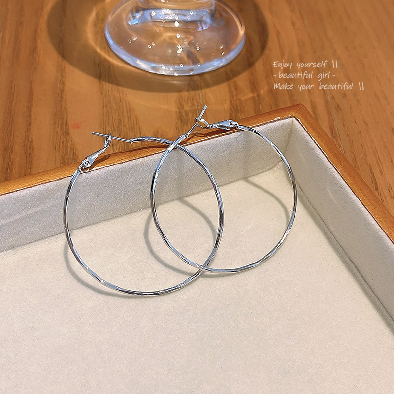 S925 Silver Needle fashionable and versatile plain ring earrings, women's light luxury high-end design sense, simple and popular online celebrity earrings wholesale Application Scenario