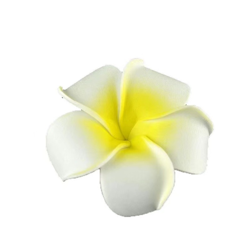 The super fairy-like frellia hair clip is a perfect match for women's spring and summer outings. It features side bangs, broken hair and a duckbill clip, creating an atmosphere Item Picture