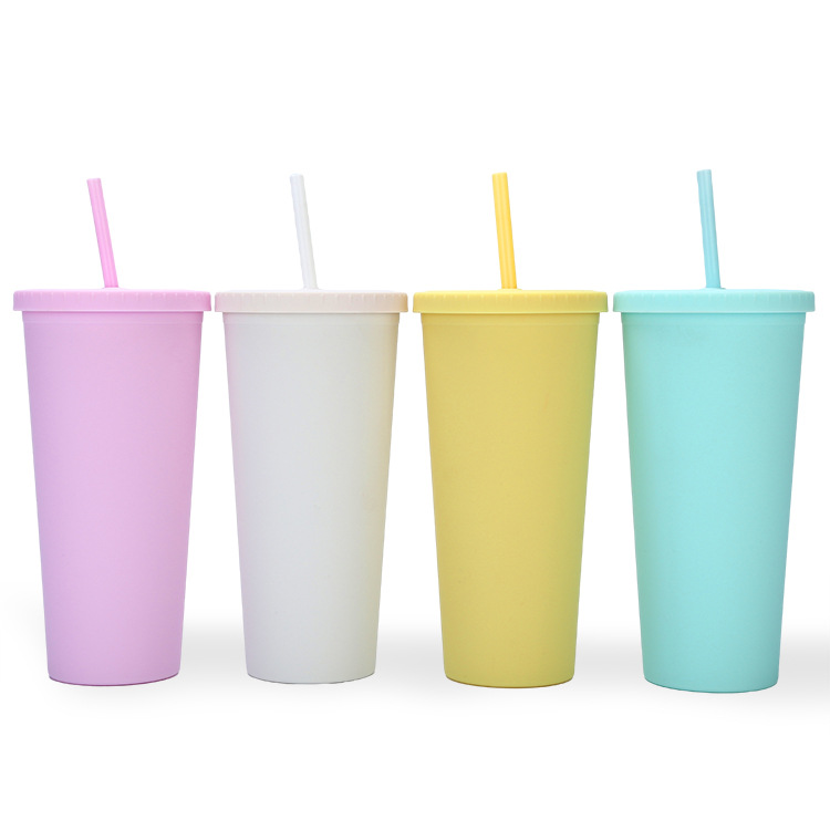 A new modern and simple water cup from cross-border Amazon, a popular matte cartoon portable 24oz double-layer straw cup Item Picture