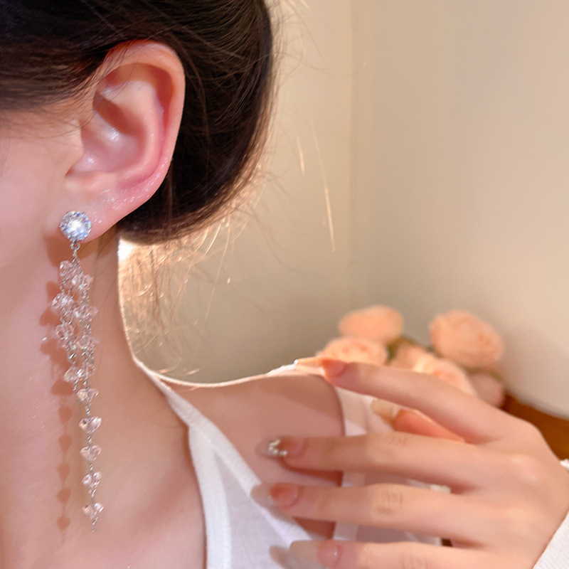 Long diamond-encrusted crystal tassel earrings for women, 2025 new style, high-end, light luxury, exquisite stud earrings, sweet and elegant earrings Application Scenario