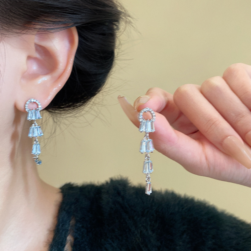 This is a new Korean-style exquisite stud earring for women in 2025, featuring a dazzling array of diamonds and a long tassel details Picture